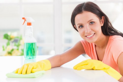 Regular cleaning service in a Catford home living room
