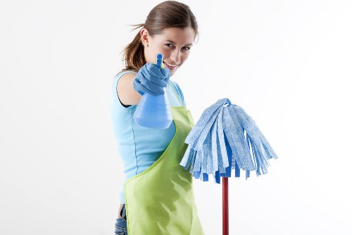 Professional window cleaning for Catford homes and busy local streets
