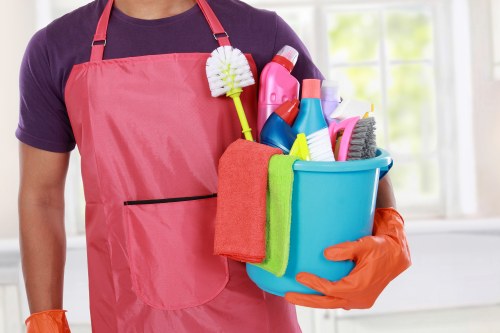 Domestic cleaning for a Catford home with everyday household tasks