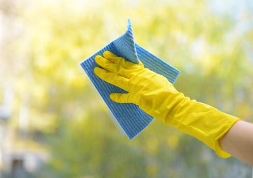 Professional steam carpet cleaning for a Catford home living room