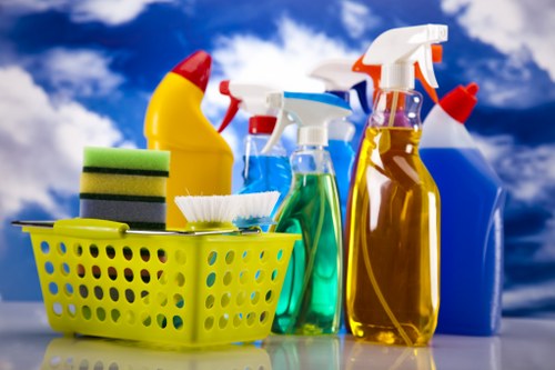 Professional deep clean for a Catford bathroom