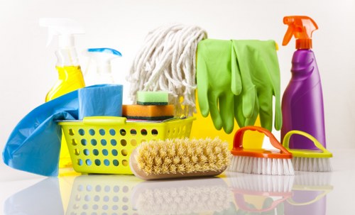 Deep cleaning support for a Catford flat or maisonette