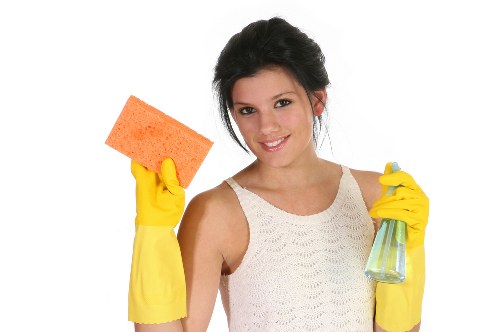 Cleaning service terms document with professional presentation