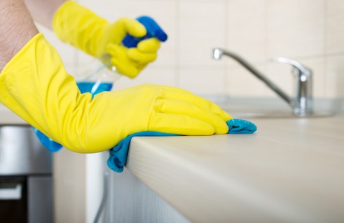 Local cleaner carrying out routine cleaning in Catford flat