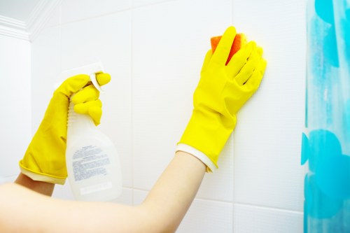 Deep cleaning a mattress to remove odours and dust in Catford