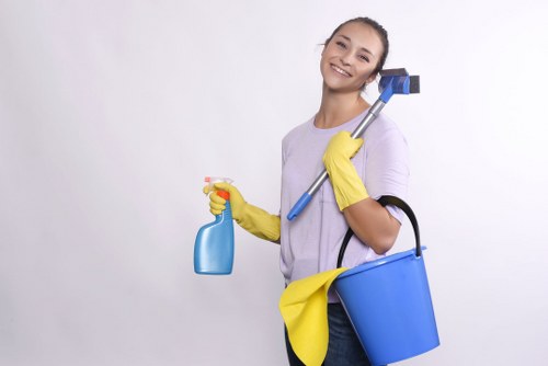 Professional rug cleaning service in a Catford home with a focus on deep fibre cleaning