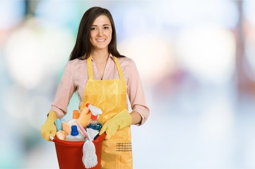 Commercial and residential sofa cleaning service in Catford