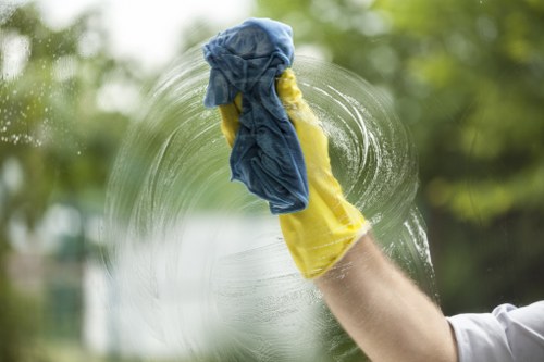 Targeted stain and smell removal service for a Catford property