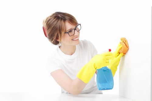 Trusted Catford cleaning service focusing on detail and reliability