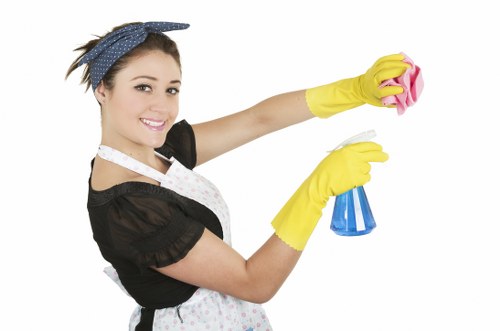 Deep cleaning a living room sofa in a Catford property