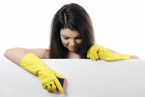 Cleaning equipment used for pet stain odour removal in Catford
