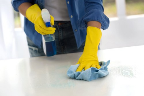 Specialist cleaning for a vinyl floor in a Catford business